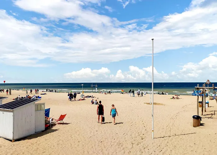 Apartment Cozy In With Wifi